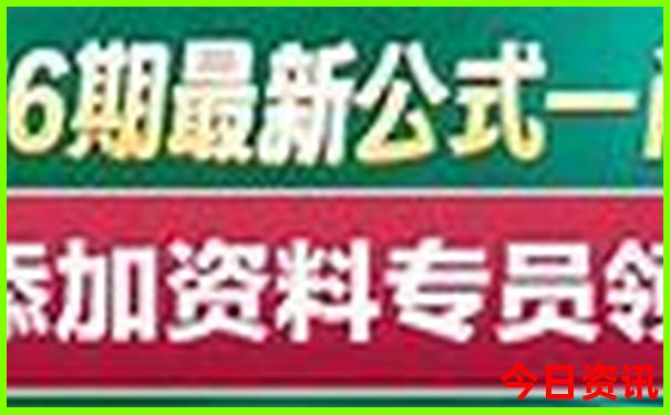 青岛海鸥夏天去哪儿了